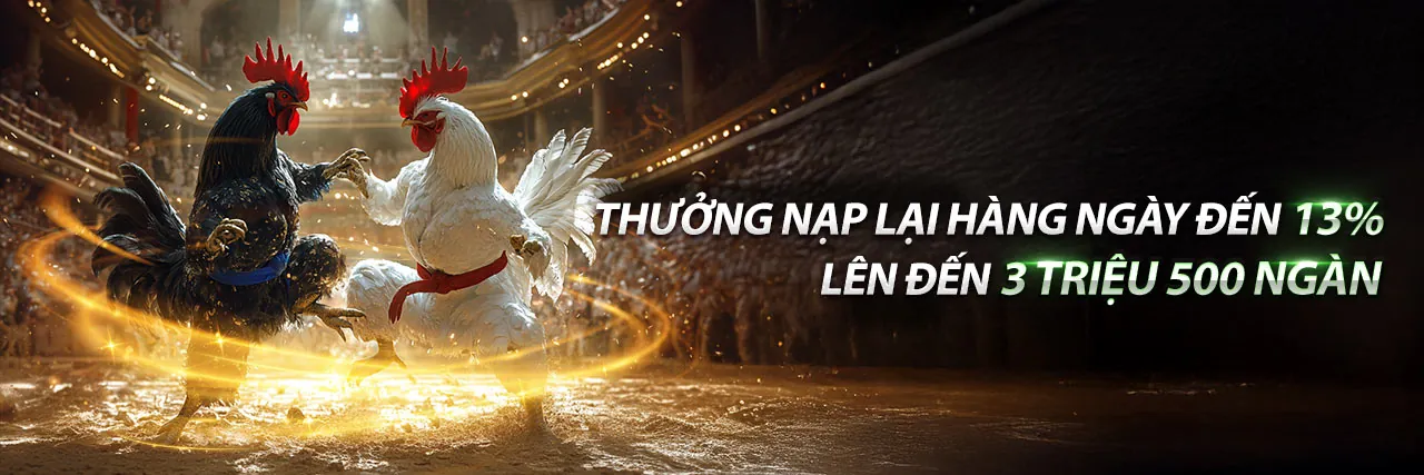 Chính sách bảo mật 11u bảo vệ thông tin người chơi